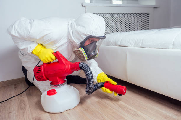 Best Pest Exclusion Services  in Jefferson Valley Yorktown, NY